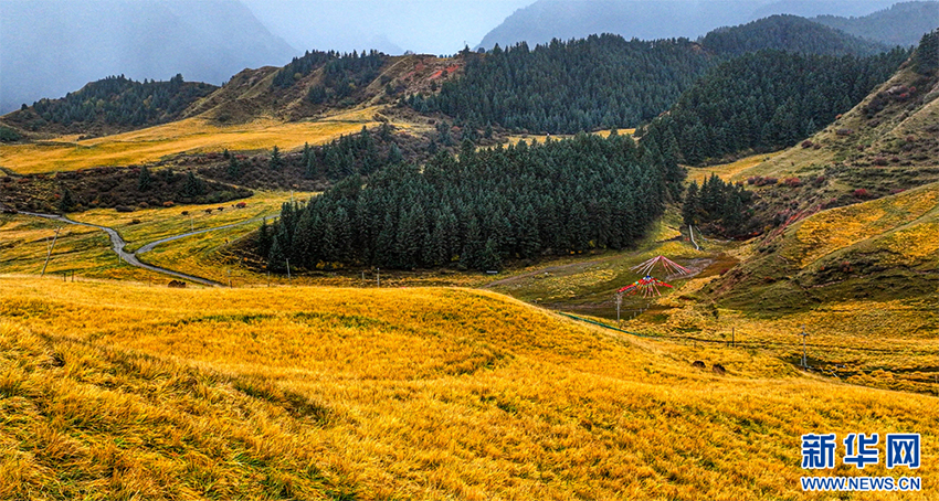 Сунань, Ганьсу: Түрлі түске боялған қарлы таудың етегі