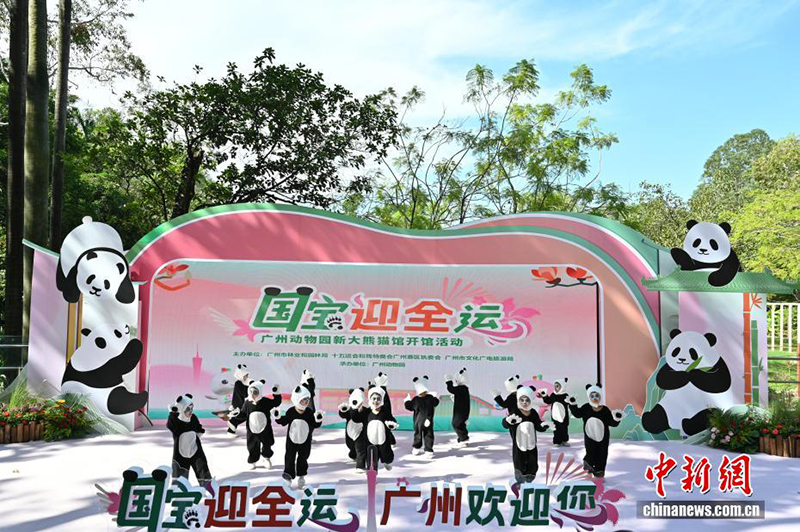 Гуанчжоу хайуанаттар бағында жаңа панда павильоны ашылды