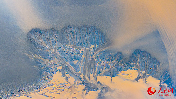 Цяньтан өзеніндегі киелі ағаш көрінісі