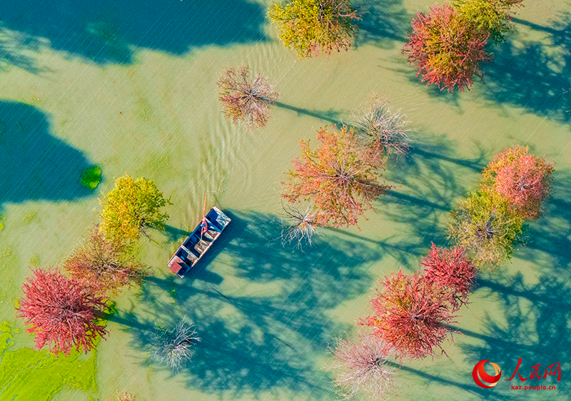 Цзянсу өлкесінің Сыхун ауданындағы орманды көл сызған суреттен аумайды