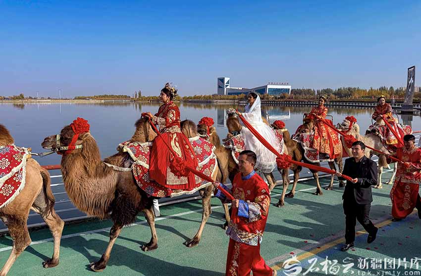 Шыңжаңның Қашқарында 6-ыншы Жібек Жолы мәдени фестивалі ашылды