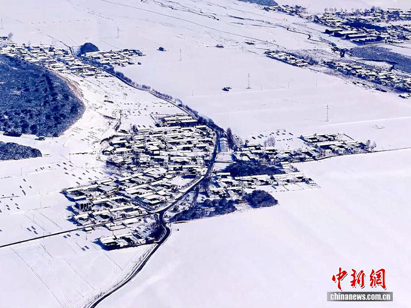 Цилянь тауының Цинхай аймағында қар жауды