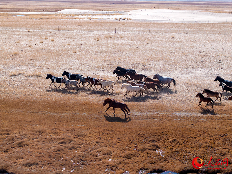 Ганьсу өлкесі Ақсай ауданындағы күздің келбеті