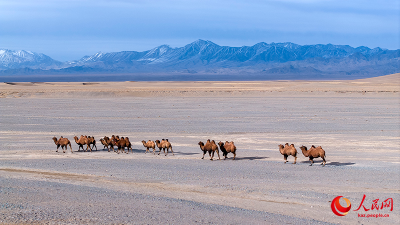Ганьсу өлкесі Ақсай ауданындағы күздің келбеті