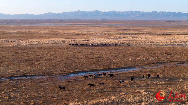 Ганьсу өлкесі Ақсай ауданындағы күздің келбеті