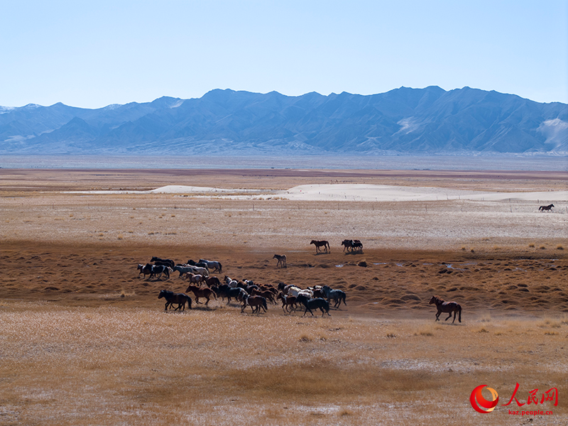 Ганьсу өлкесі Ақсай ауданындағы күздің келбеті