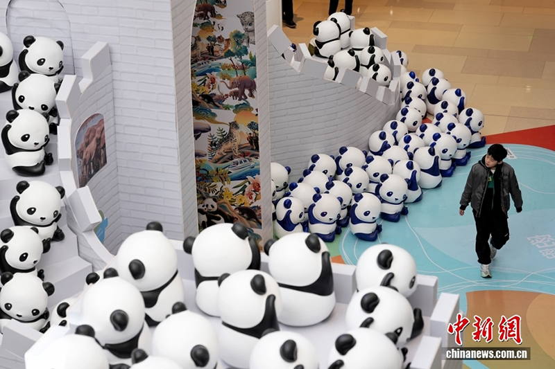 Халықаралық панда күніне арналған панда көрмесі Бейжің тұрғындарын баурады