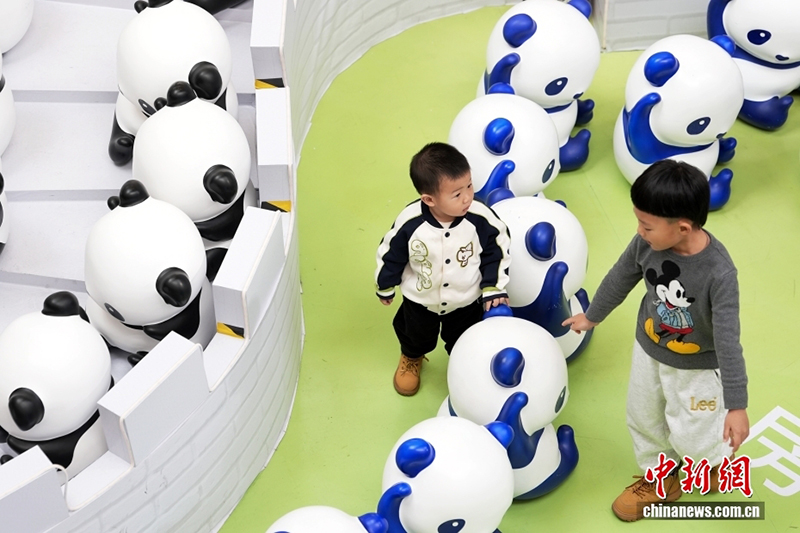 Халықаралық панда күніне арналған панда көрмесі Бейжің тұрғындарын баурады