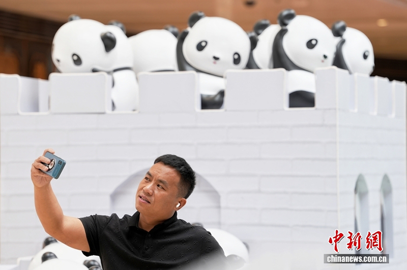 Халықаралық панда күніне арналған панда көрмесі Бейжің тұрғындарын баурады