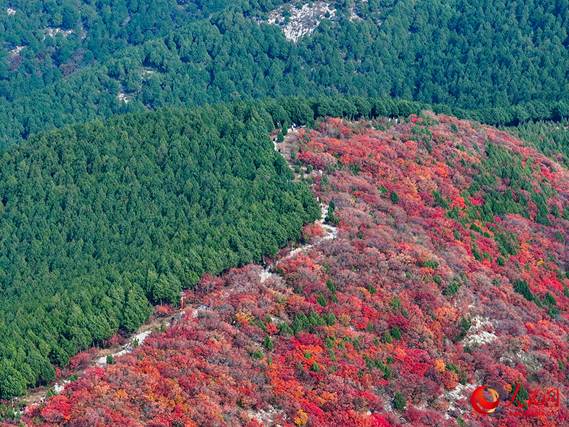 Шаньдун өлкесінің Цзинань өңірінде бір тау қос түске боялды