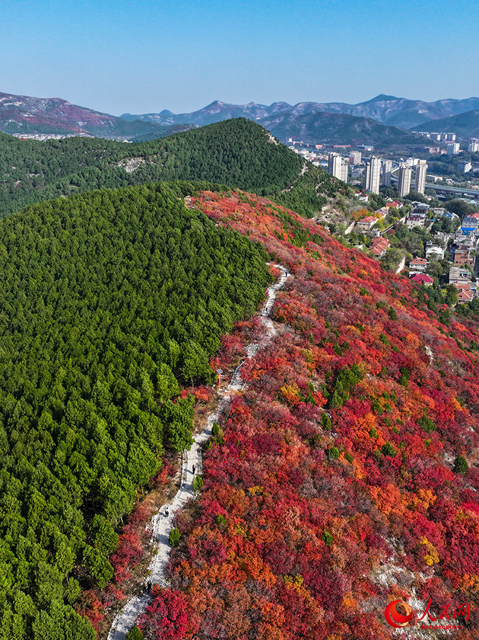 Шаньдун өлкесінің Цзинань өңірінде бір тау қос түске боялды