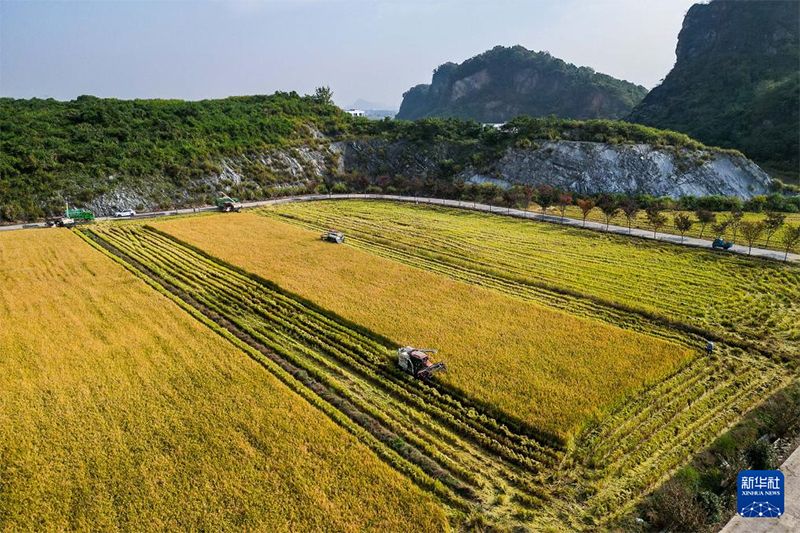 Күзгі мол өнімнің көрінісі