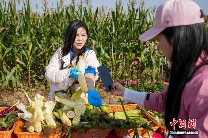 Чжэнчжоу тұқым өнеркәсібі көрмесінде 6000-нан астам жаңа және тамаша сорттар көрсетілді