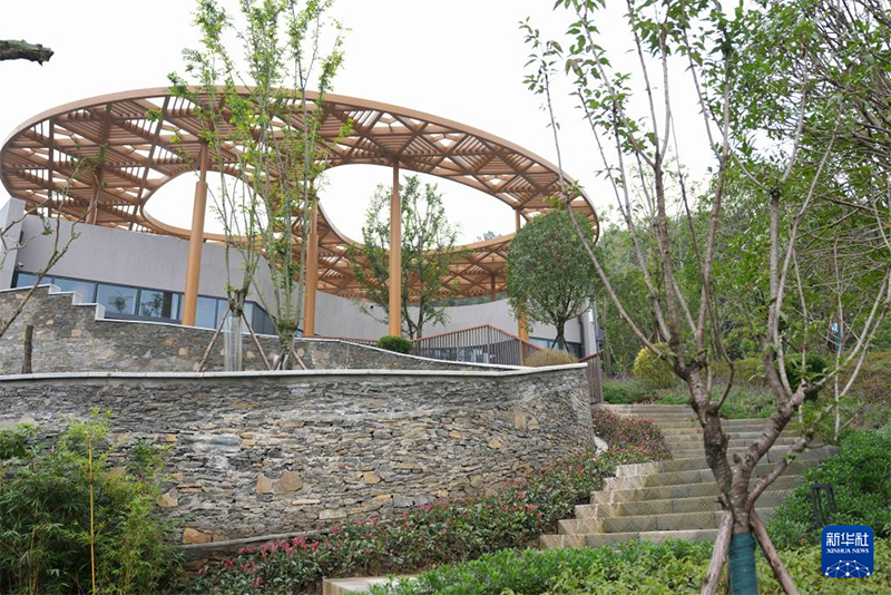 Қытайда тағы бір панда базасы іске қосылды