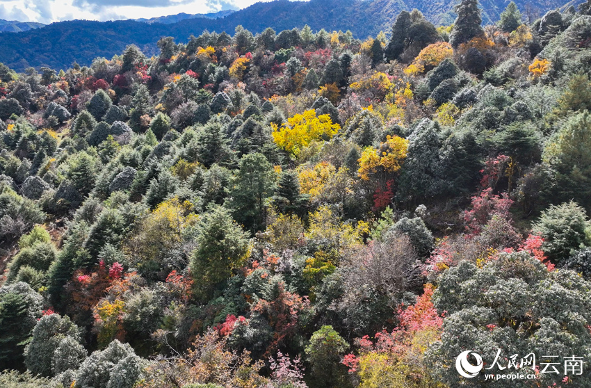 Юньнаньның Дали өңіріндегі таңғажайып таулар