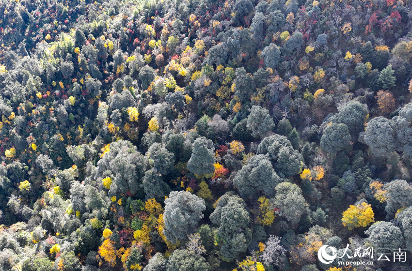 Юньнаньның Дали өңіріндегі таңғажайып таулар