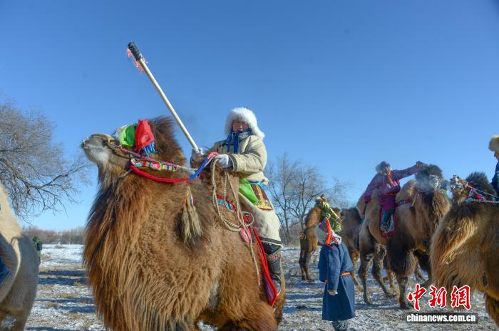 Хуншандак құм қойнауындағы малшылар әсем түйе байқауын өткізді