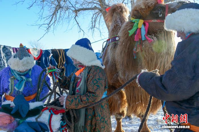 Хуншандак құм қойнауындағы малшылар әсем түйе байқауын өткізді