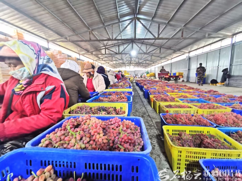 Шыңжаңның Орталық Азия елдерімен саудасы 2025 жылы шамамен 277 млрд юаньға жетті