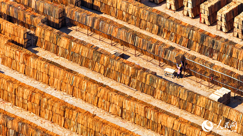 Цзянсидің Сингуосы орман шаруашылығымен табысты арттырды