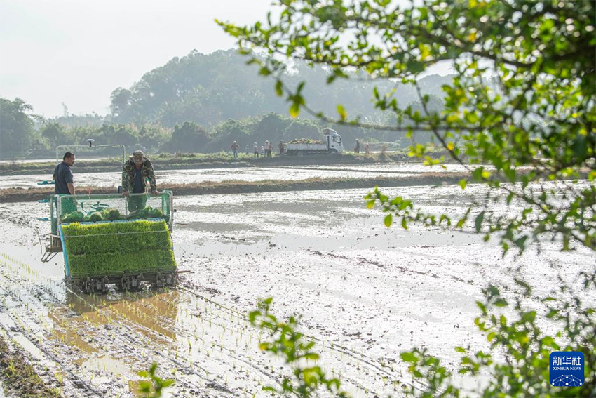 Көктем басы: Атыздарға себілген үміттің дәні