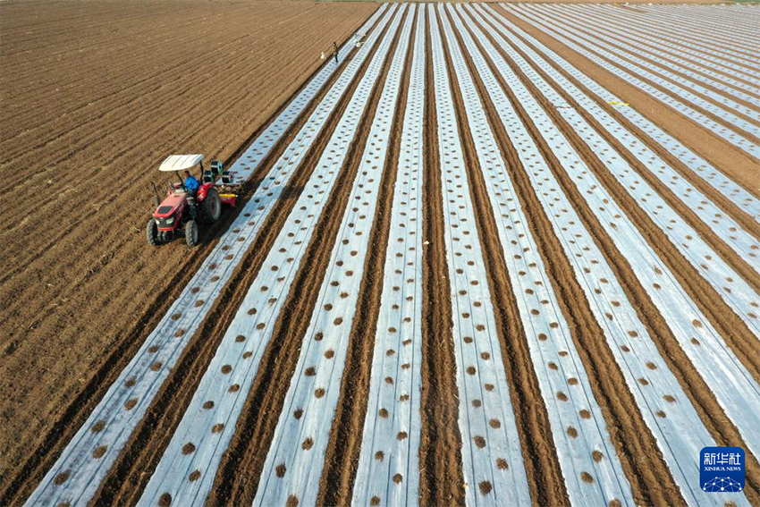 Көктем басы: Атыздарға себілген үміттің дәні