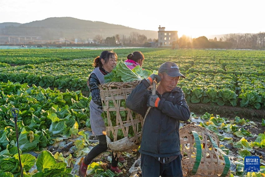 Көктем басы: Атыздарға себілген үміттің дәні