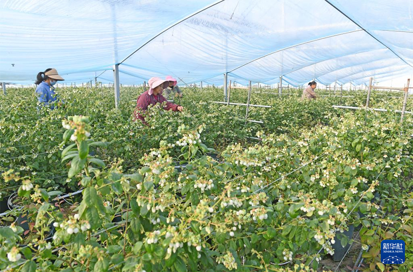 Көктем басы: Атыздарға себілген үміттің дәні