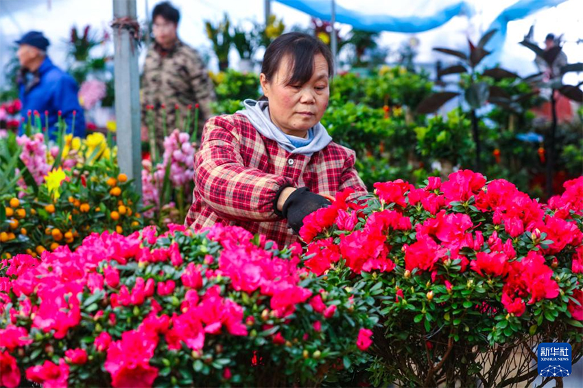 Көктем басы: Атыздарға себілген үміттің дәні