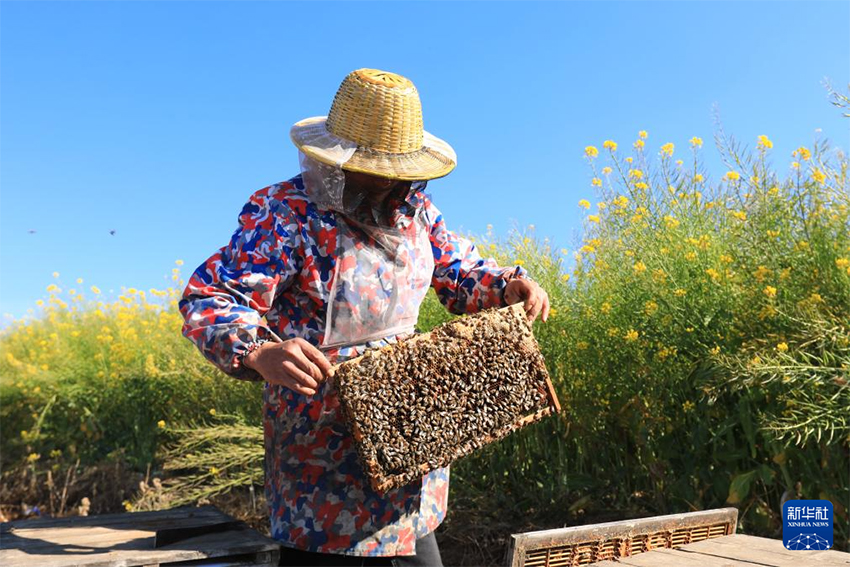 Көктем басы: Атыздарға себілген үміттің дәні