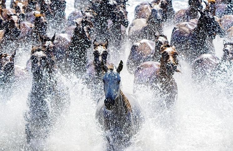 Шыңжаңның Моңғұлкүресі — жылқы түлігіне бай аудан