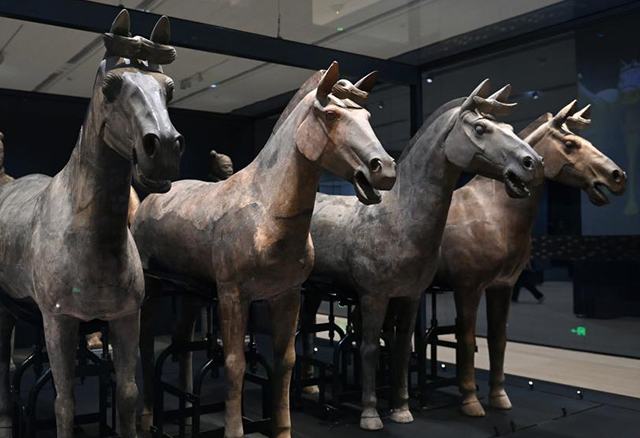 Жыл мүшеліндегі жылқы: өміршеңдік пен екпіндіктің символы