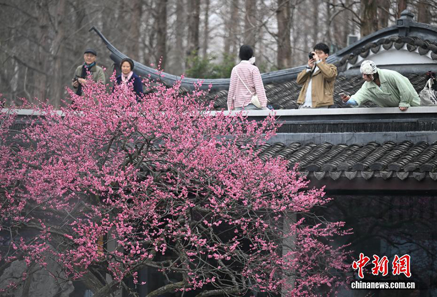 Ханчжоудың Сиху көліндегі көктем көрінісі келушілерді тәнті етті