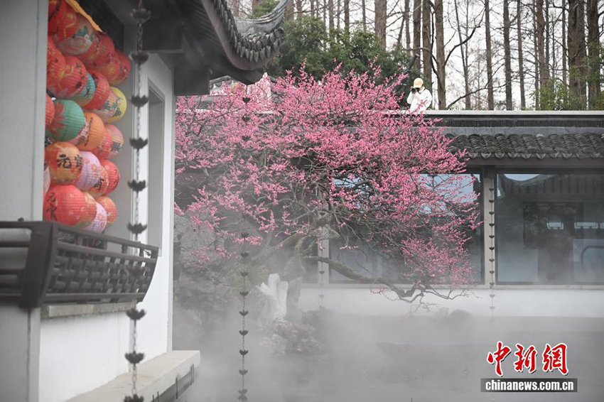 Ханчжоудың Сиху көліндегі көктем көрінісі келушілерді тәнті етті