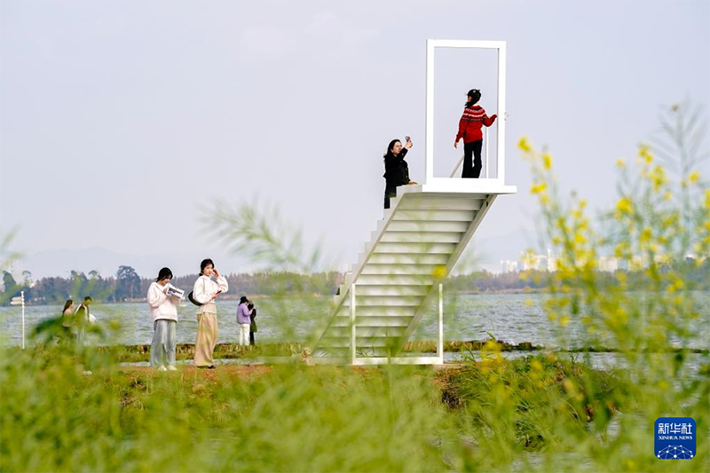 Көктем құшағындағы Дяньчи көлі туристерді өзіне тартты