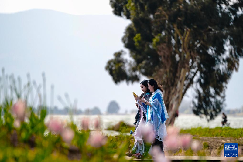 Көктем құшағындағы Дяньчи көлі туристерді өзіне тартты