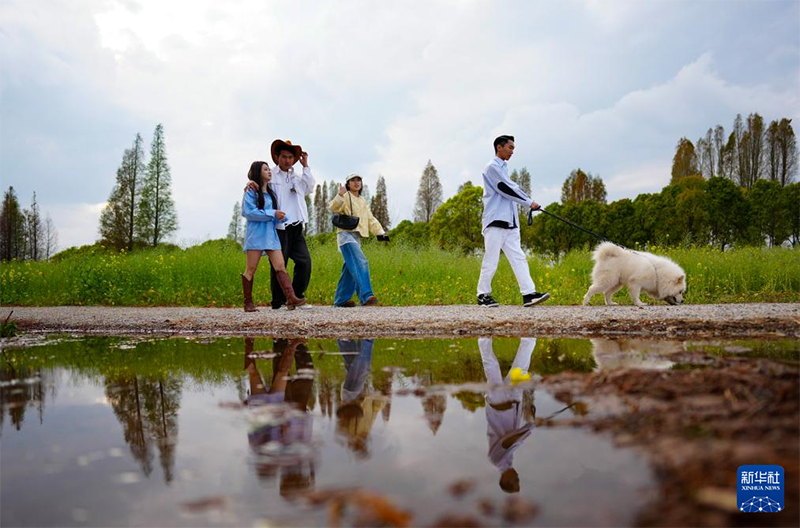 Көктем құшағындағы Дяньчи көлі туристерді өзіне тартты