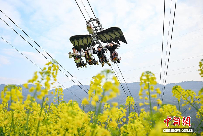 Чунцин: Аспалы көлік жолымен тауға шығу көктемгі саяхаттың жаңа тәжірибесіне айналды