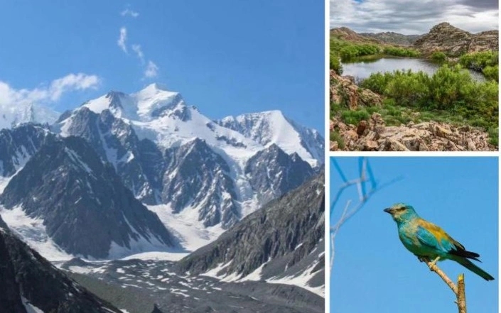 Фото: ҚР Экология және табиғи ресурстар министрлігі