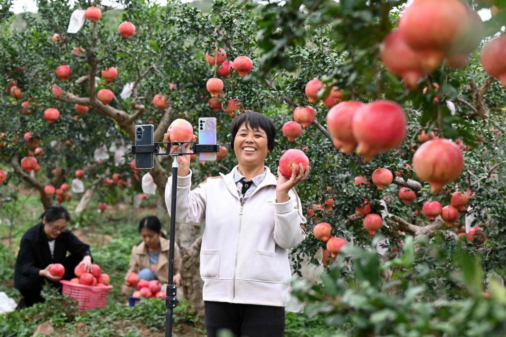 Қытайдың тікелей эфир электронды коммерциядағы тауар айналымы көлемі 2025 жылы 5 триллион юаньнан асты