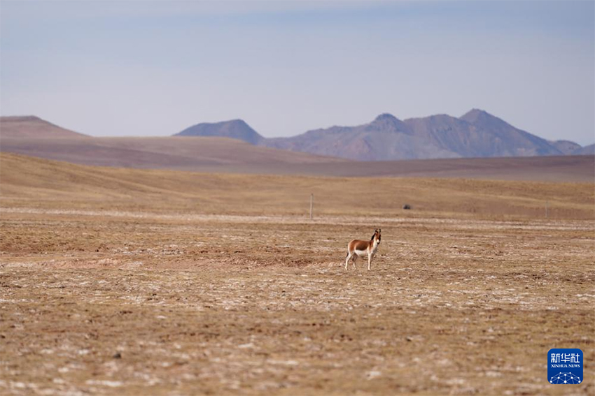 Көркем Қытай: Көктемгі Хуанхэның бастауы