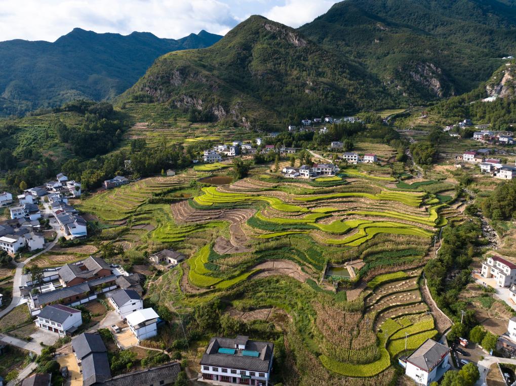Ежелгі сатылы егістіктердің жаңа дәуірдегі жаңаша мәні