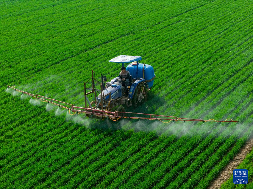 Көктем самалы және егін науқаны