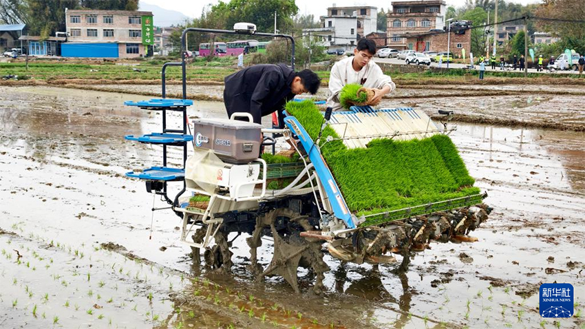 Көктем самалы және егін науқаны