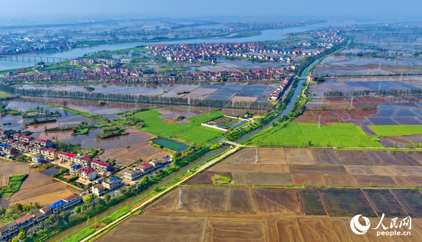 Цзянси, Наньчан: Көктемгі егіс қызу жүріп жатыр