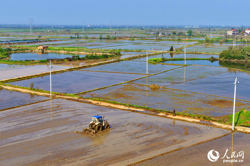 Цзянси, Наньчан: Көктемгі егіс қызу жүріп жатыр