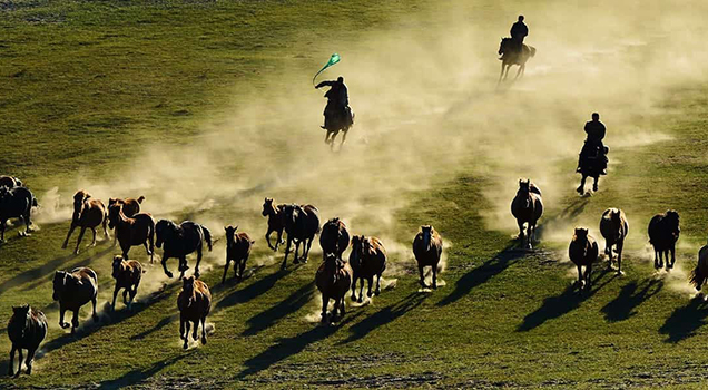 Шыңжаң жылқы шаруашылығы қауымдастығы мен Қазақстанның Алматы облысы ресми түрде келісімге қол қойды