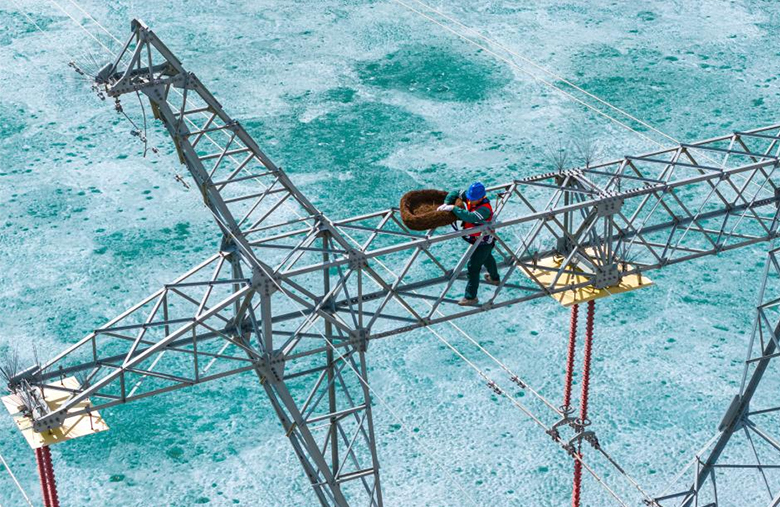 «Өмір ұясы» іс-шарасы жыл құсын, сулы-батпақты жерлердің экологиясын, электр желілерінің қауіпсіздігін қорғайды